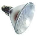 LED 32W PAR56 E27 Light Bulb