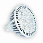 LED 12x1W PAR38 E27 Light Bulb