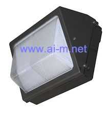 LED Wall Light